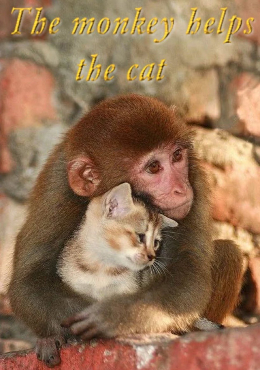 c40c1e57-ecaa-4783-9898-365a3211b7c3 2.jpeg